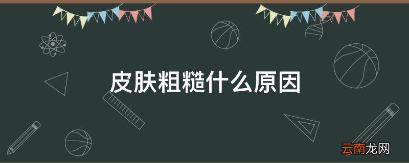 皮肤粗糙什么原因