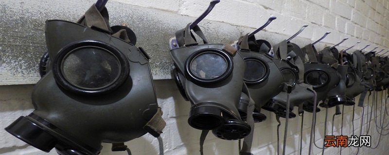 防毒面具根据什么动物的脸做的 防毒面具是根据什么动物发明的