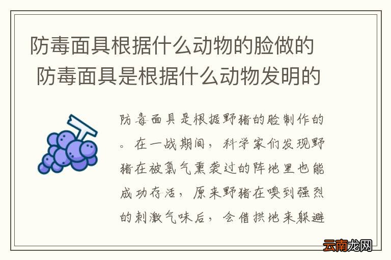 防毒面具根据什么动物的脸做的 防毒面具是根据什么动物发明的