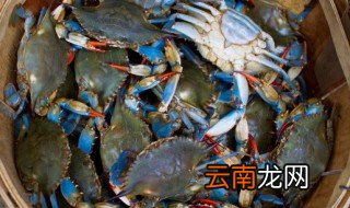 螃蟹可以放水里养着吗 螃蟹能不能放水里养着