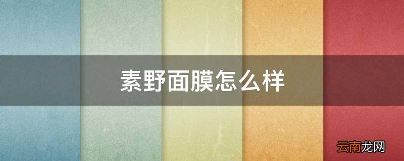 素野面膜怎么样