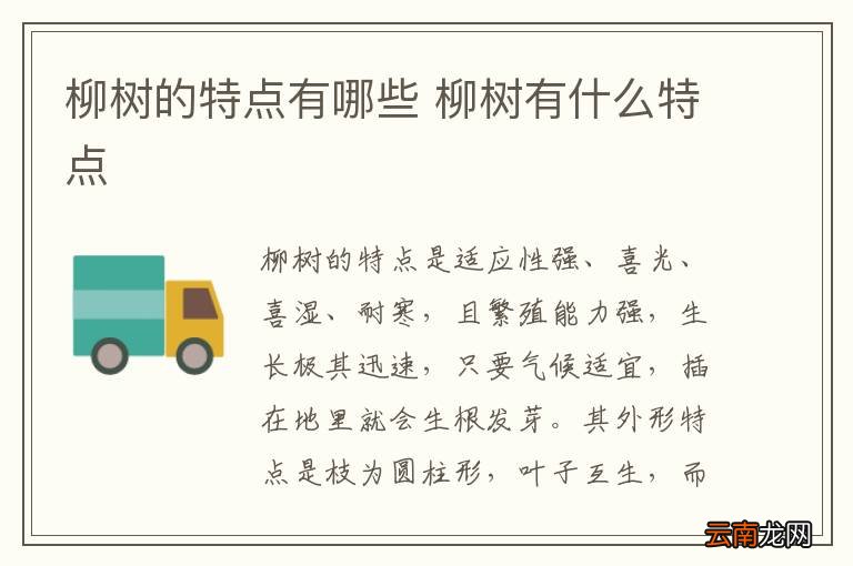柳树的特点有哪些 柳树有什么特点