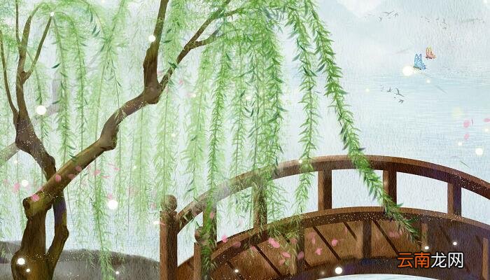 柳树的特点有哪些 柳树有什么特点