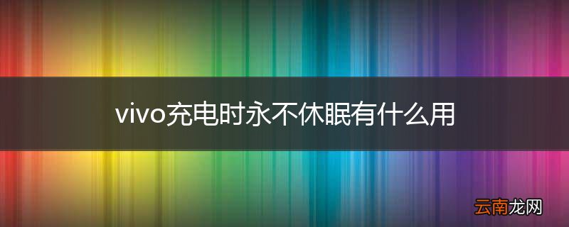 vivo充电时永不休眠有什么用