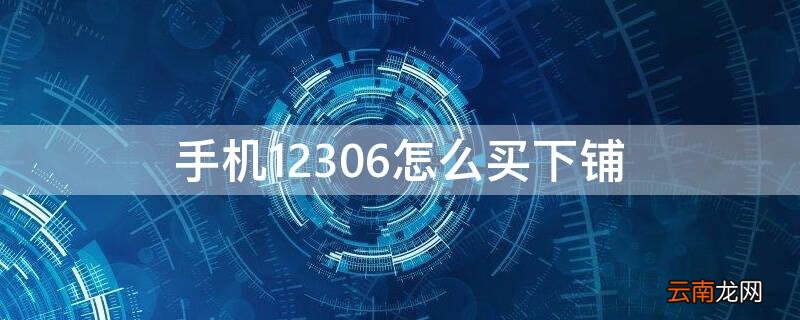 手机12306怎么买下铺