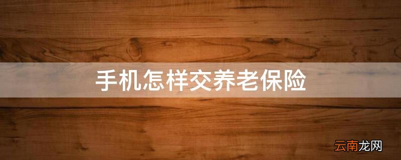 手机怎样交养老保险 农村 个人 手机怎样交养老保险