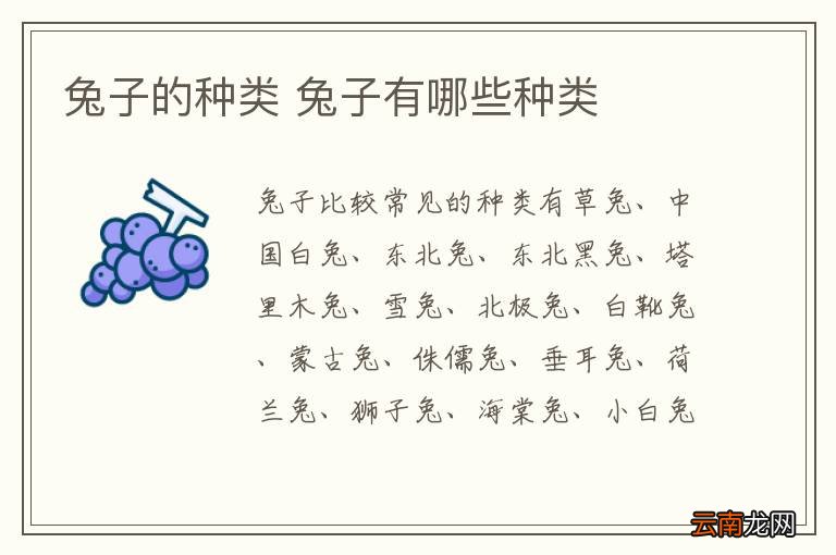 兔子的种类 兔子有哪些种类