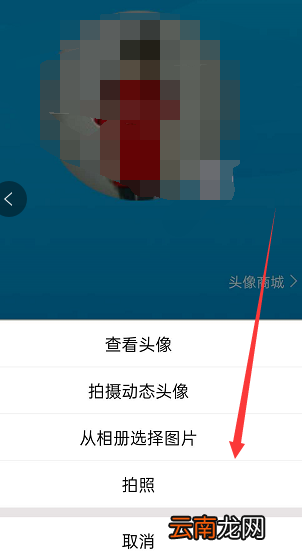 手机qq群怎么换头像 手机QQ群怎么换头像