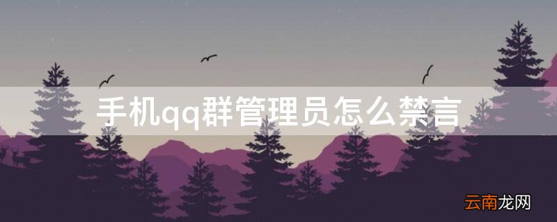 手机qq群管理员怎么禁言 手机qq群管理员怎么禁言所有人