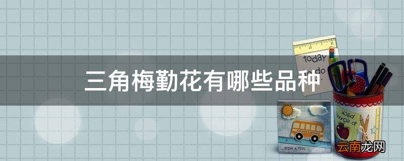 三角梅勤花有哪些品种