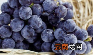 赖葡萄种植方法 赖葡萄种植的方法