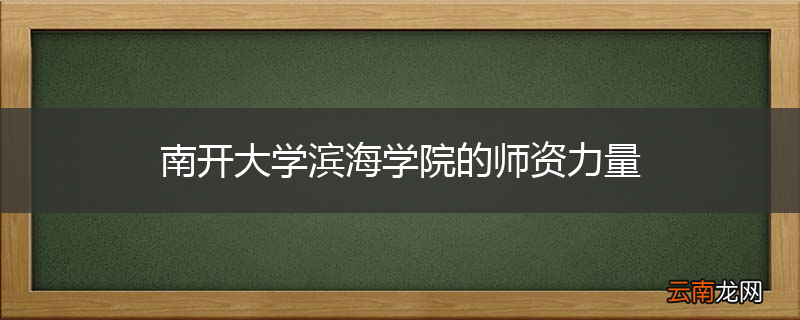 南开大学滨海学院的师资力量