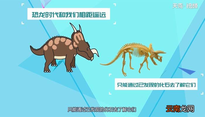恐龙是什么动物 恐龙属于什么动物