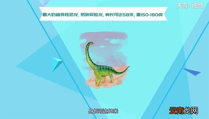 恐龙是什么动物 恐龙属于什么动物