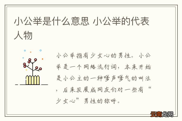小公举是什么意思 小公举的代表人物