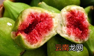 无花果怎样储存才不生虫 无花果怎样储存