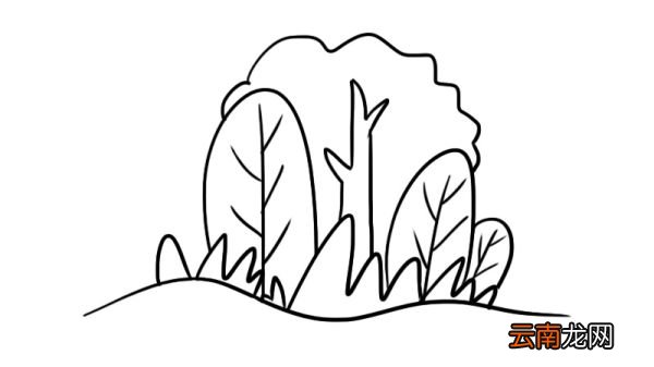 春天的景色简笔画