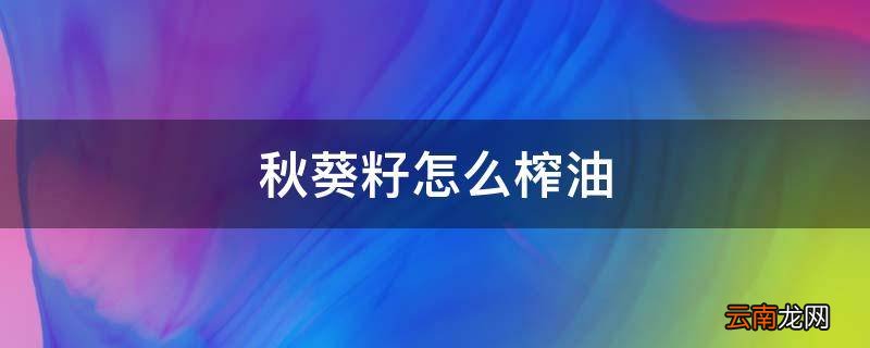 秋葵籽怎么榨油