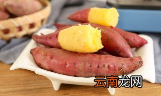 红薯怎样储存不长虫 红薯储存正确方法有哪些
