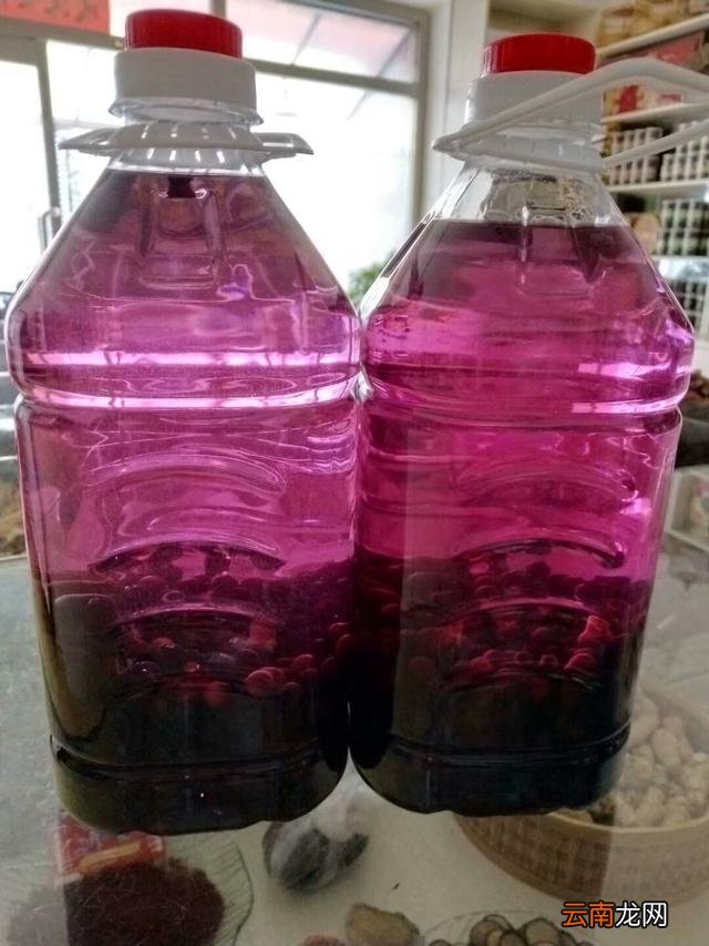 各种养生系列酒，请各位做做评价