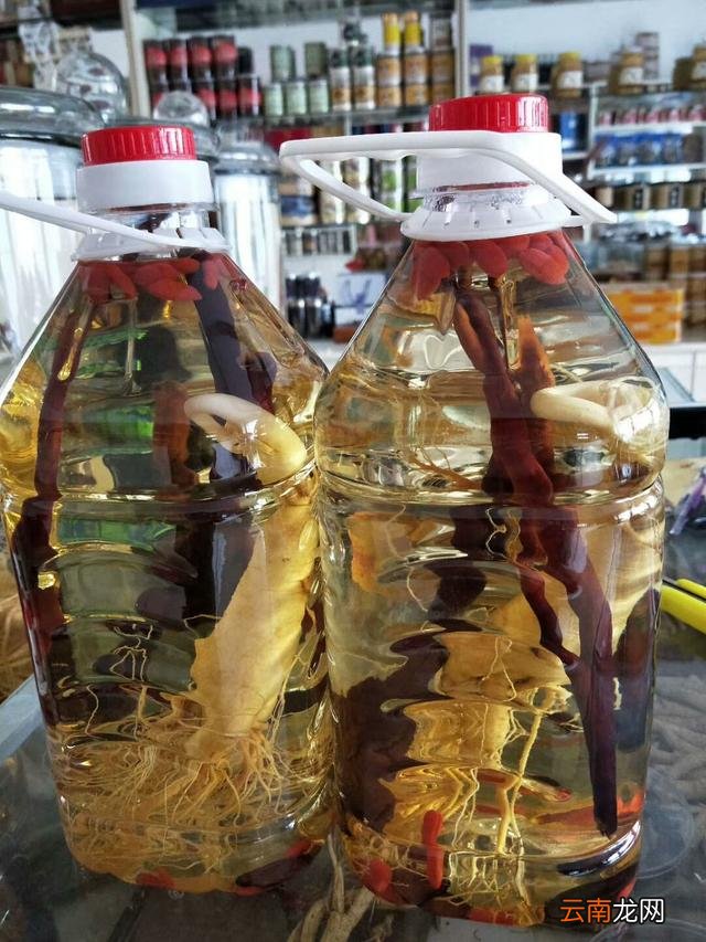 各种养生系列酒，请各位做做评价