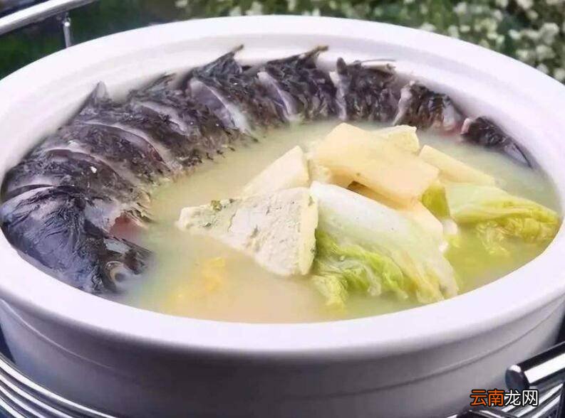 产奶食谱有哪些