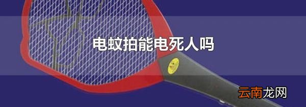 电蚊拍能电死人吗