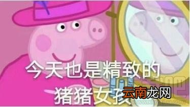 精致的猪猪女孩是什么梗?精致的猪猪女孩出处是什么?