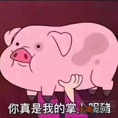 精致的猪猪女孩是什么梗?精致的猪猪女孩出处是什么?