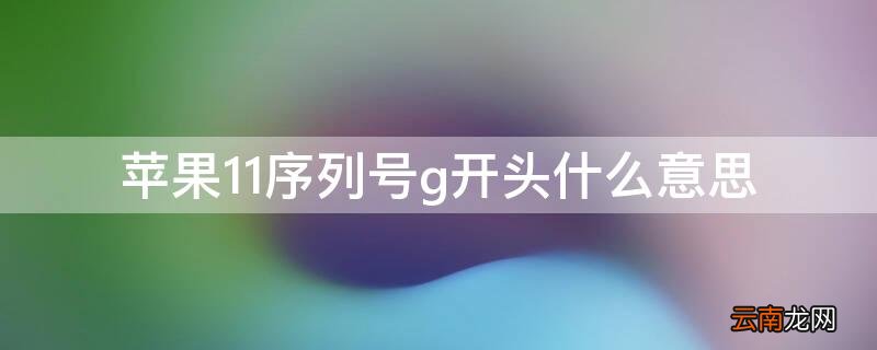 苹果11序列号G开头什么意思 iPhone11序列号g开头什么意思