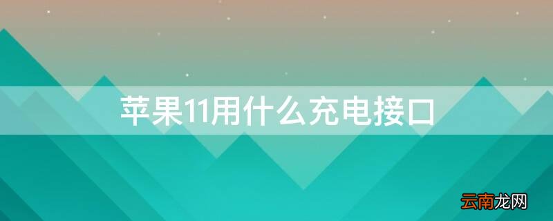 iPhone11用什么充电接口 iphone11是什么接口充电