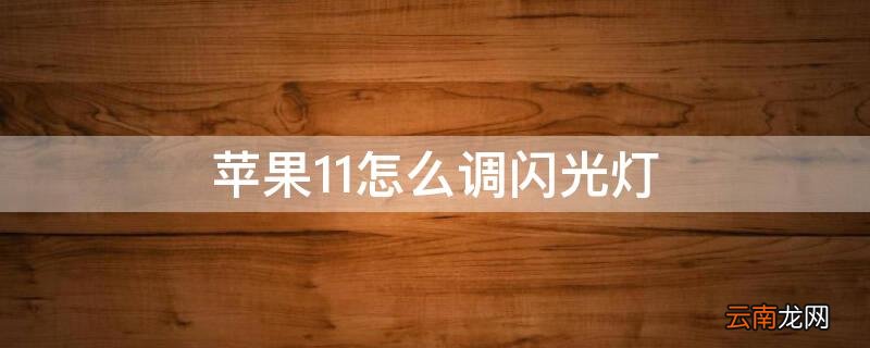 iphone12怎么调闪光灯 iPhone11怎么调闪光灯