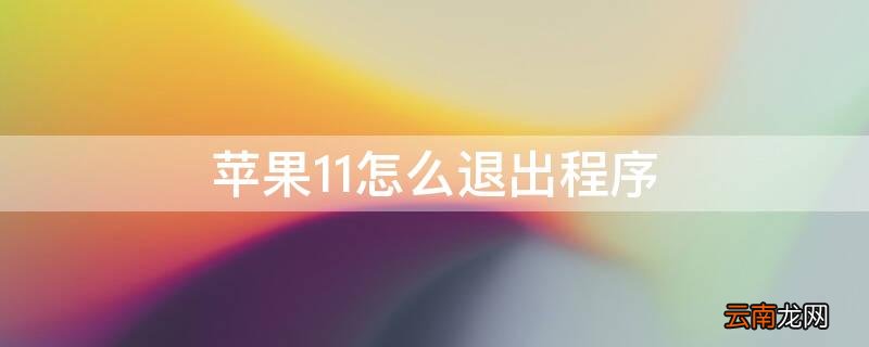iphone11怎样退出程序 iPhone11怎么退出程序