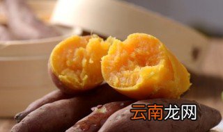 葛薯是什么季节的 葛薯是什么时候种植的