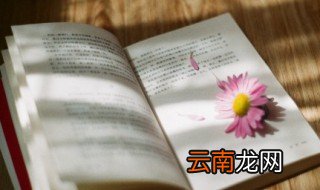 前的组词 前怎么组词