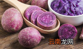 紫薯什么时候种植，紫薯什么时候种植视频