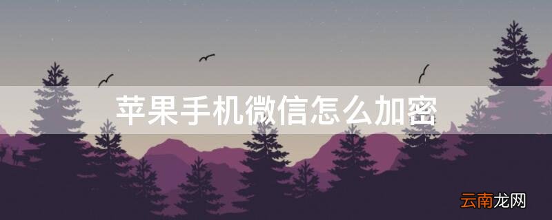 iPhone手机微信怎么加密 iPhone手机微信怎么加密