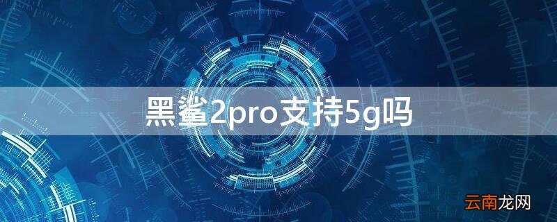 黑鲨2pro支持5g吗 黑鲨4pro支持5g吗