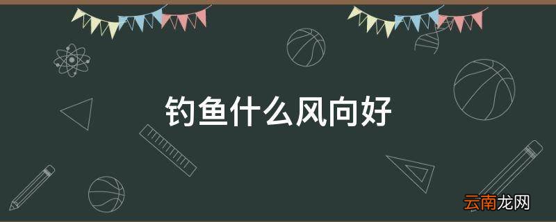 钓鱼什么风向好