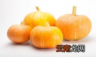 板栗南瓜什么时候种植 板栗南瓜几月份适合种