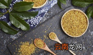 丹桂什么时候能种植 丹桂种植时间