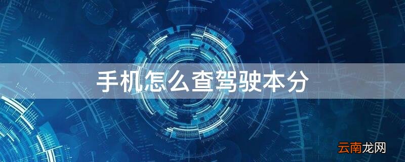 手机怎么查驾驶本分 用手机如何查驾驶证分