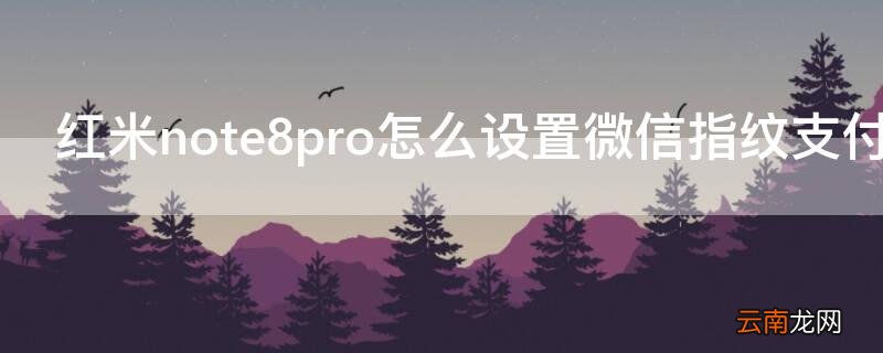 红米note8pro微信指纹支付 红米note8pro怎么设置微信指纹支付