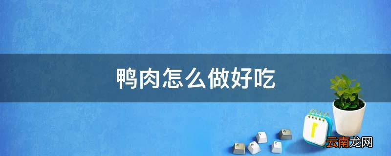鸭肉怎么做好吃