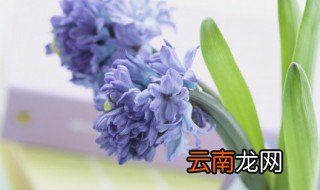 初的组词 初怎么组词
