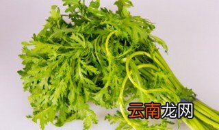 小叶茼蒿什么时候种植 茼蒿什么时候种植