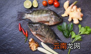 清蒸鱼煮多久就熟了 清蒸鱼开锅几分钟能熟