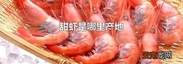 甜虾是哪里产地