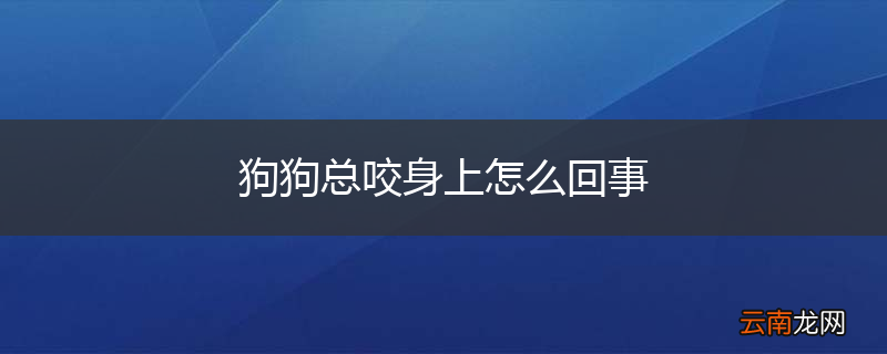 狗狗总咬身上怎么回事
