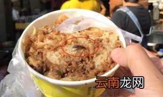 饭里有蟑螂吃了会怎样 饭里有蟑螂吃有可能如下症状
